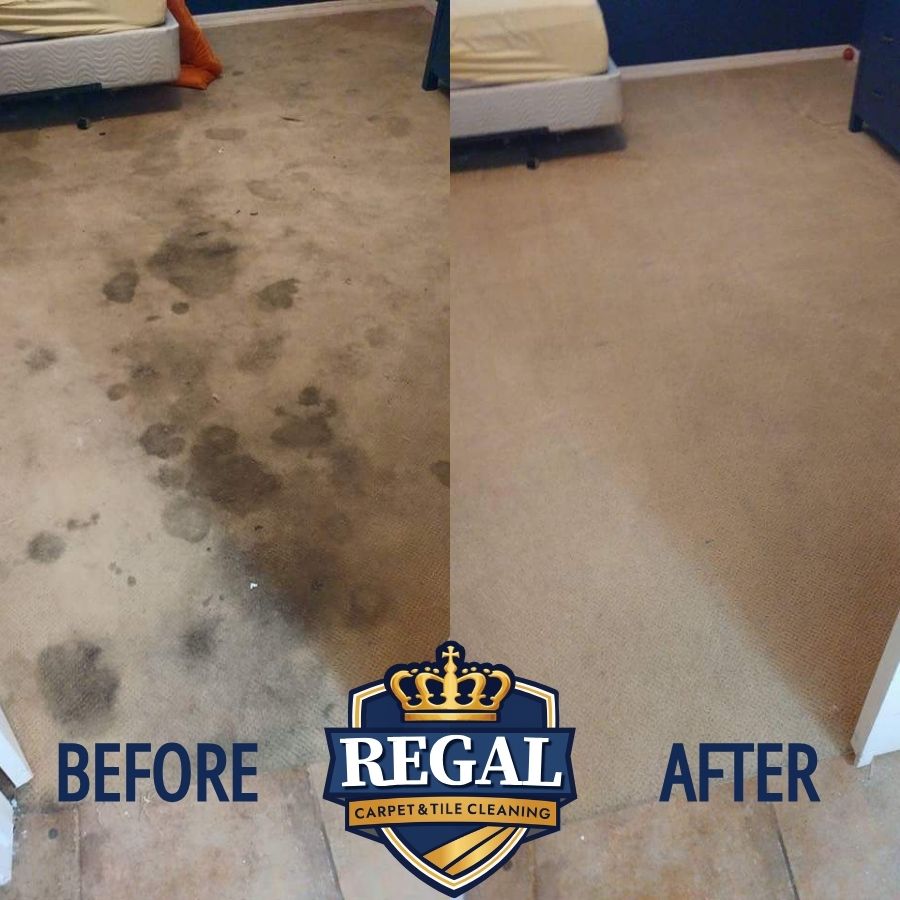 Carpet Cleaning Results 2 2