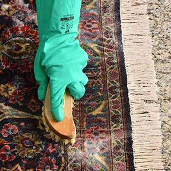 Rug Cleaning Service