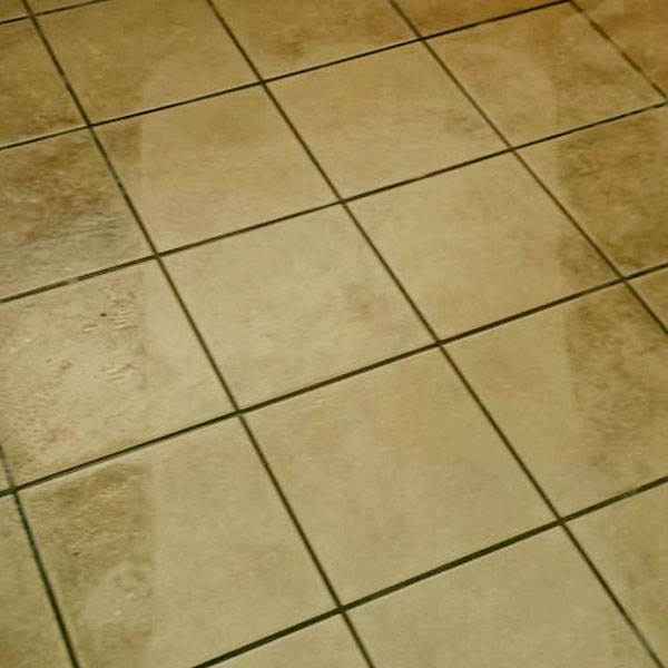 Tile and Grout Cleaning Results